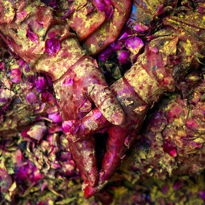 A Prayer of Colour, Udit Kulshrestha, Wonderwall - Artisera